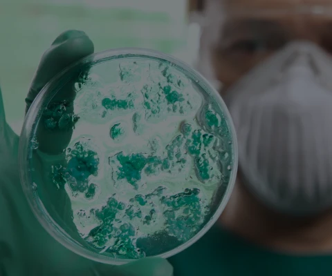 Life Sciences and Biotechnology