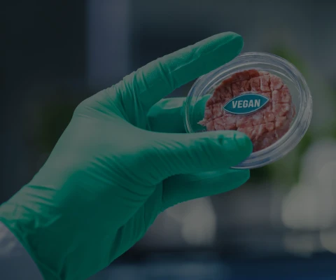 Food Manufacturing and Processing