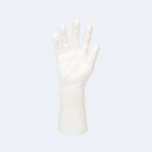 Intco Medical Disposable CPE Gloves