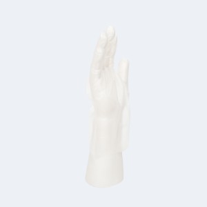 Intco Medical Disposable CPE Gloves