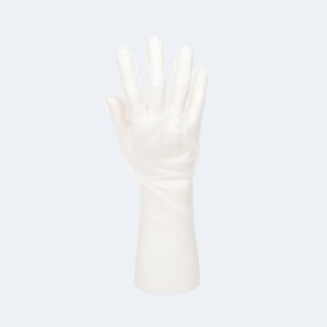 Intco Medical Disposable CPE Gloves