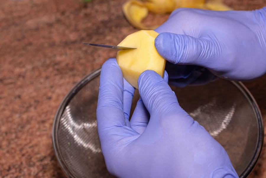 Cutting fruit with INTCO vinyl gloves