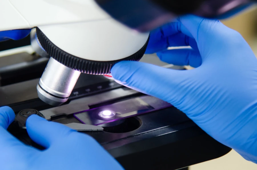 Latex-Free Gloves for Laboratory Microscope Use, Ensuring Clean and Safe Handling in Scientific Research.