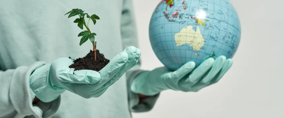 Biodegradable disposable gloves for eco-friendly gardening and global sustainability.
