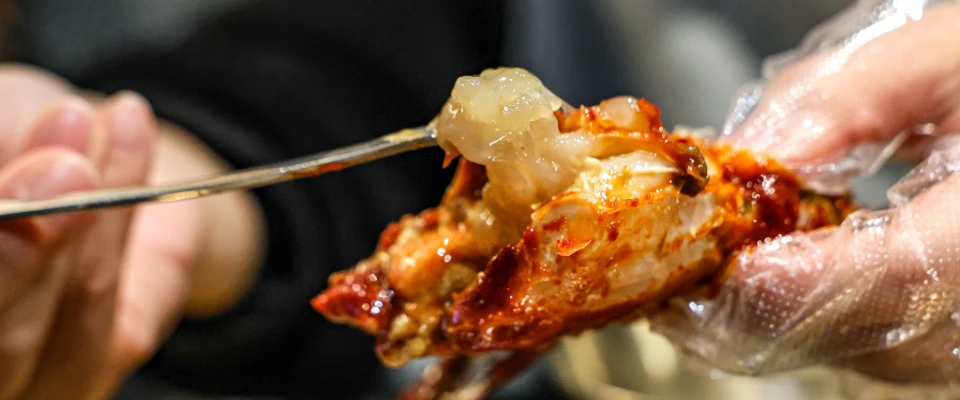 Disposable TPE Gloves for handling spicy grilled seafood at a BBQ party.