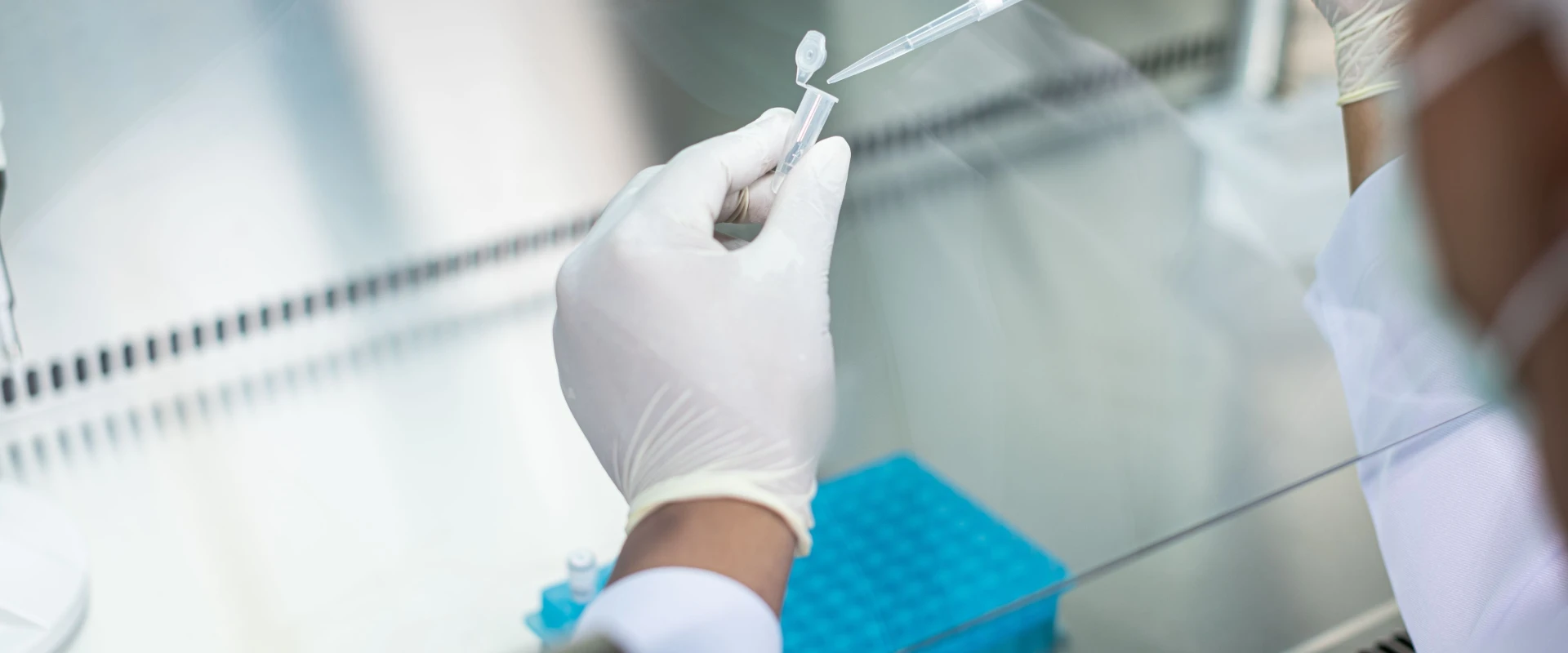 Exam Gloves used in laboratory testing for precise handling.