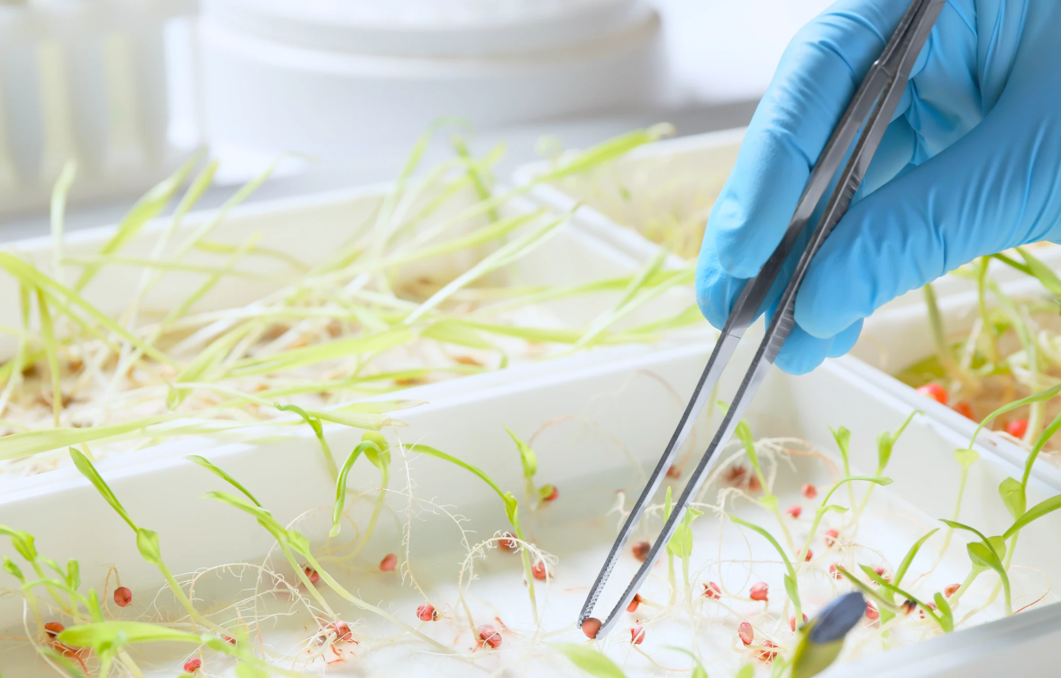 农业手套Agriculture