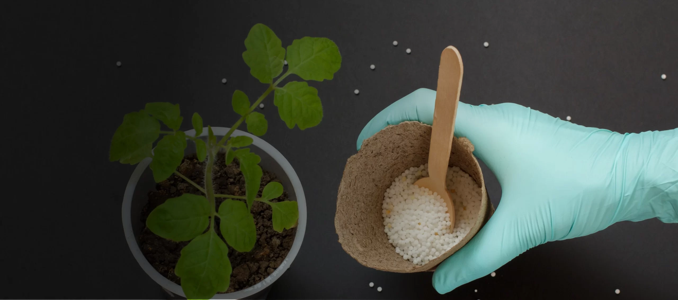 Biodegradable Nitrile Gloves