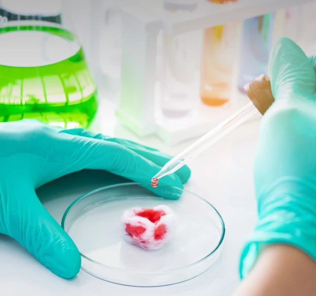 Industrial protection gloves used in chemical industry environments for handling chemicals, industrial liquids, and routine processing tasks.