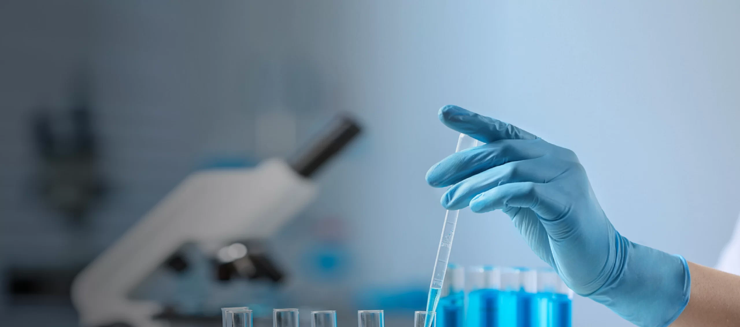 Disposable Nitrile Gloves (12